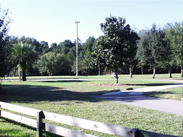 Daytime